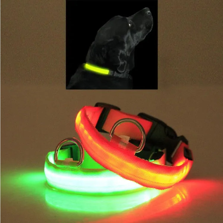 LED Pet Safety Collar – Glow in the Dark Dog & Cat Collar for Night Walking