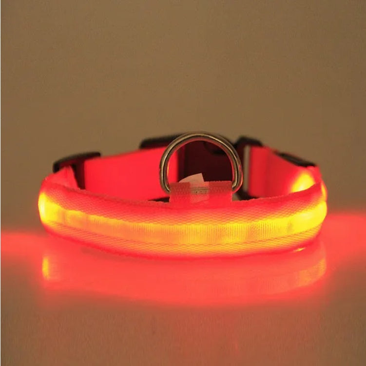 LED Pet Safety Collar – Glow in the Dark Dog & Cat Collar for Night Walking